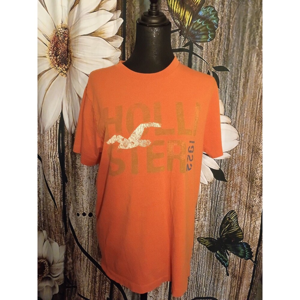 Y2K Hollister T Shirt Adult Medium Hipster 2000s Classic Beach Mall Core USA